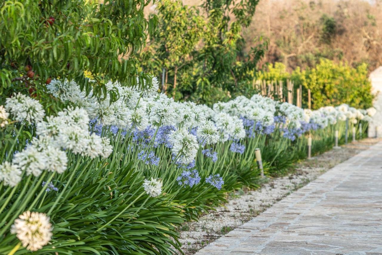 Agriturismo Panacea Santa Cesarea Terme Ngoại thất bức ảnh